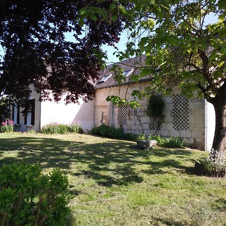 Gite Les Hautes Mougonnieres Neuil エクステリア 写真