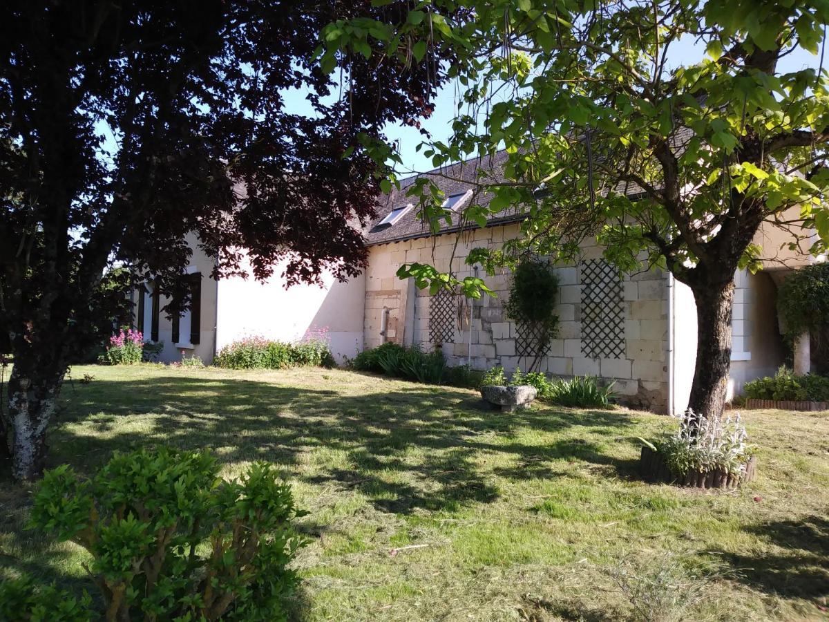 Gite Les Hautes Mougonnieres Neuil エクステリア 写真