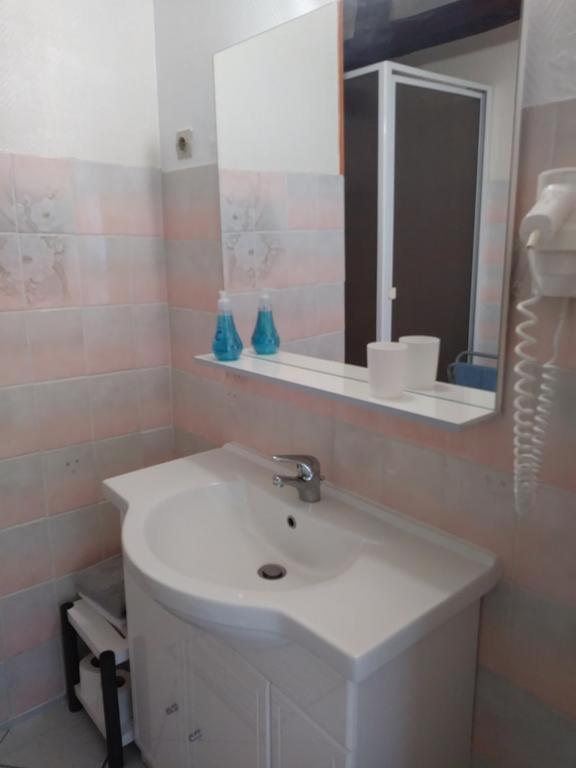 Gite Les Hautes Mougonnieres Neuil エクステリア 写真
